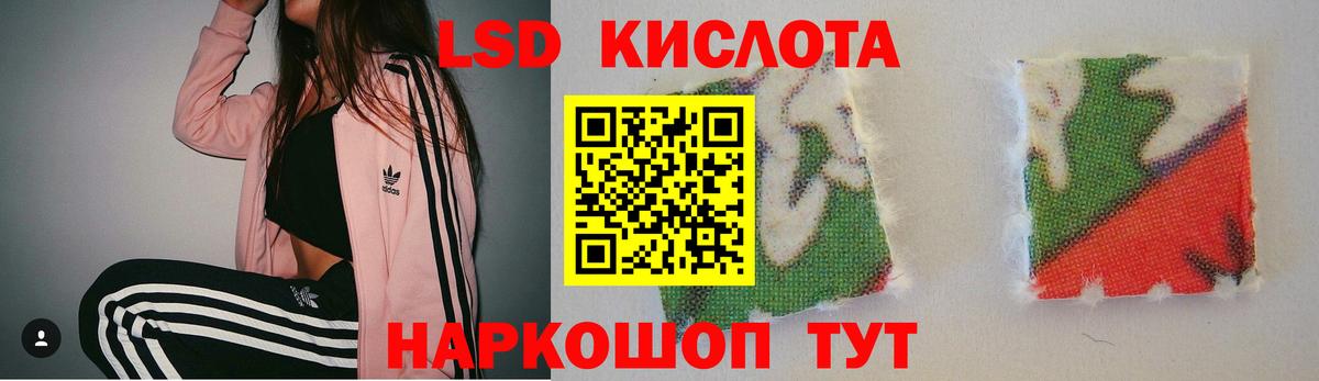 Лесной  ЛСД экстази ecstasy  Вход с VPN 
