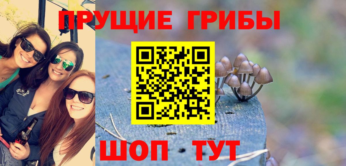 Лесной  Псилоцибиновые грибы MAGIC MUSHROOMS  Вход с VPN  Галлюциногенные грибы MAGIC MUSHROOMS 